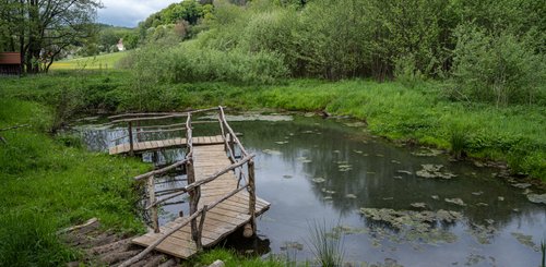 Kleiner Weiher mit Holzbrücke 